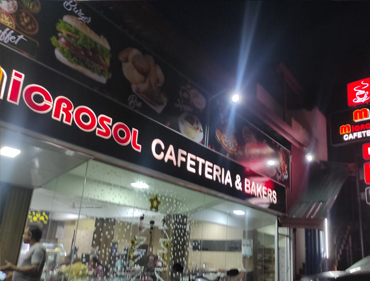 Microsol